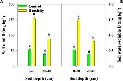 Excessive boron fertilization-induced toxicity is related to boron transport in field-grown pomelo trees